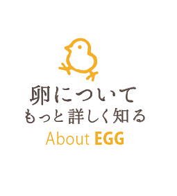 卵娘庵の卵について